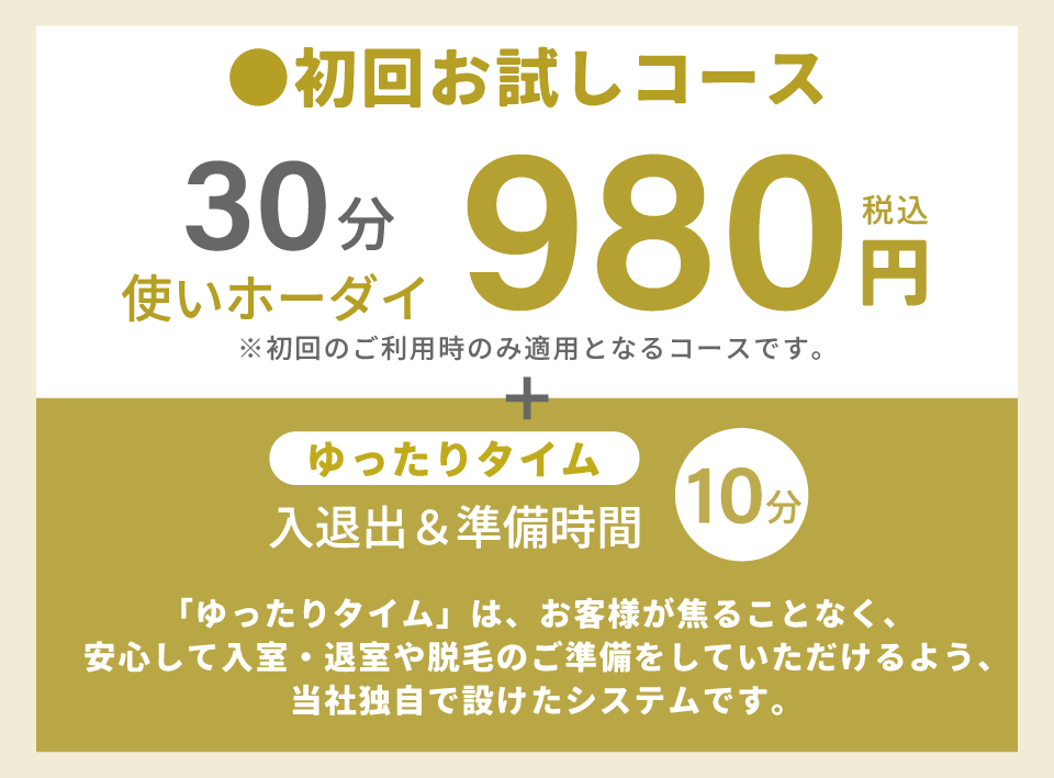 seimoの料金(スマホ)1